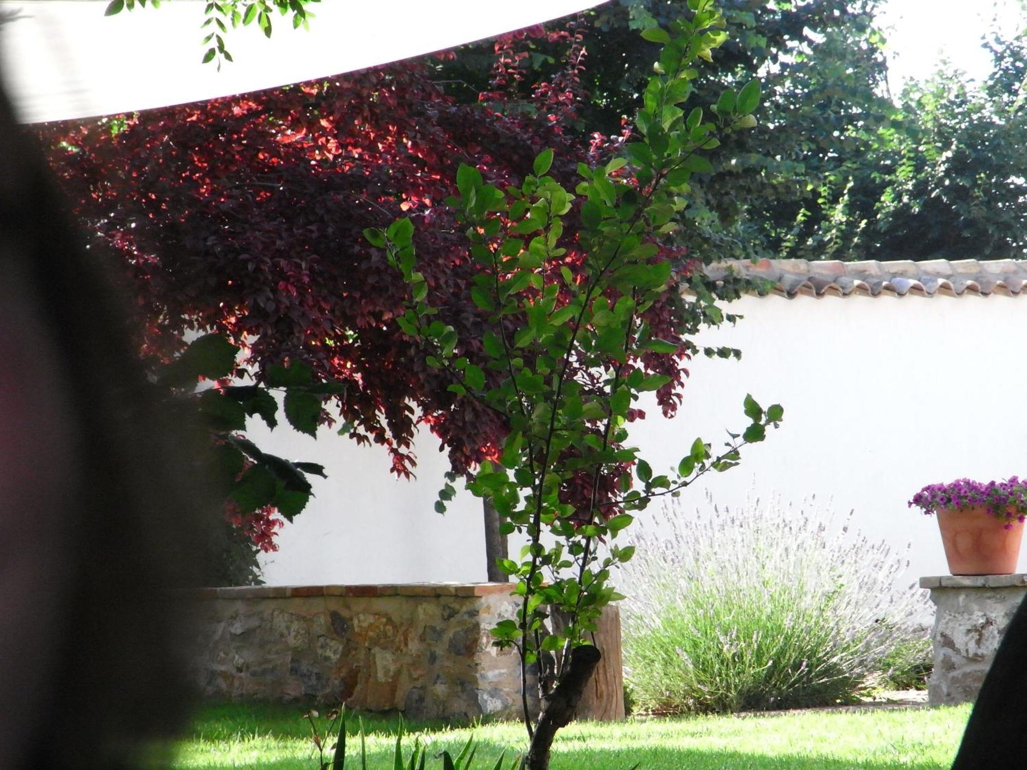 Casa Rural La Alameda มาดริเดฮอส ภายนอก รูปภาพ