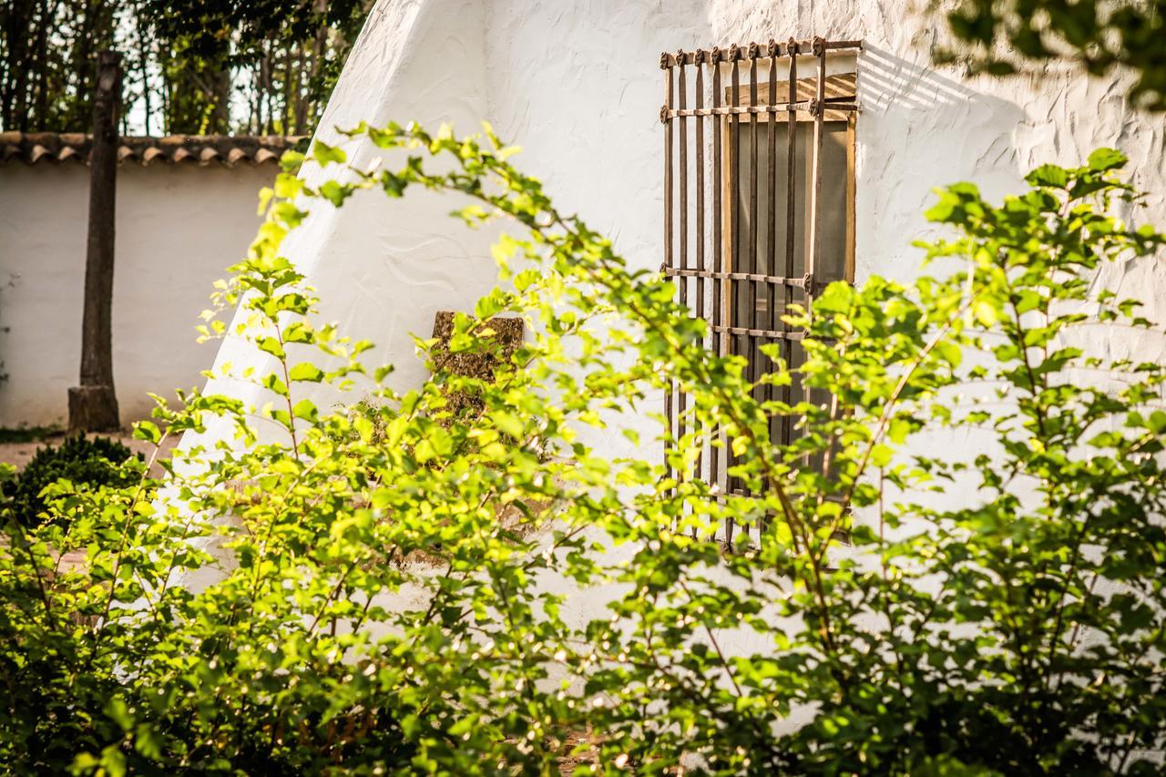 Casa Rural La Alameda มาดริเดฮอส ภายนอก รูปภาพ